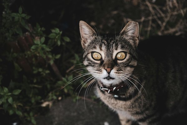 Exploring lucrative emerging investment sectors in the uk economy